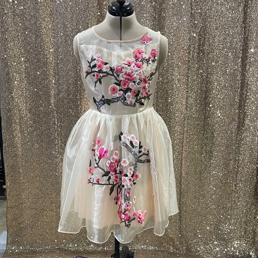 Floral Embroidered Dress